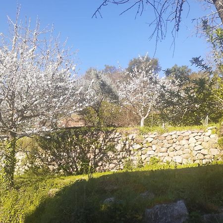 Quinta Dos Carvalhos The Wine House Farm In Center Of Lamego - Capital Of The Douro Villa Exteriör bild