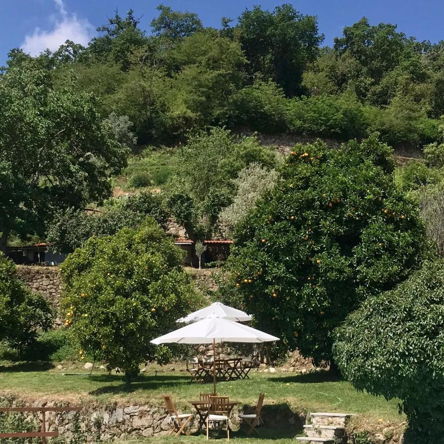 Quinta Dos Carvalhos The Wine House Farm In Center Of Lamego - Capital Of The Douro Villa Exteriör bild