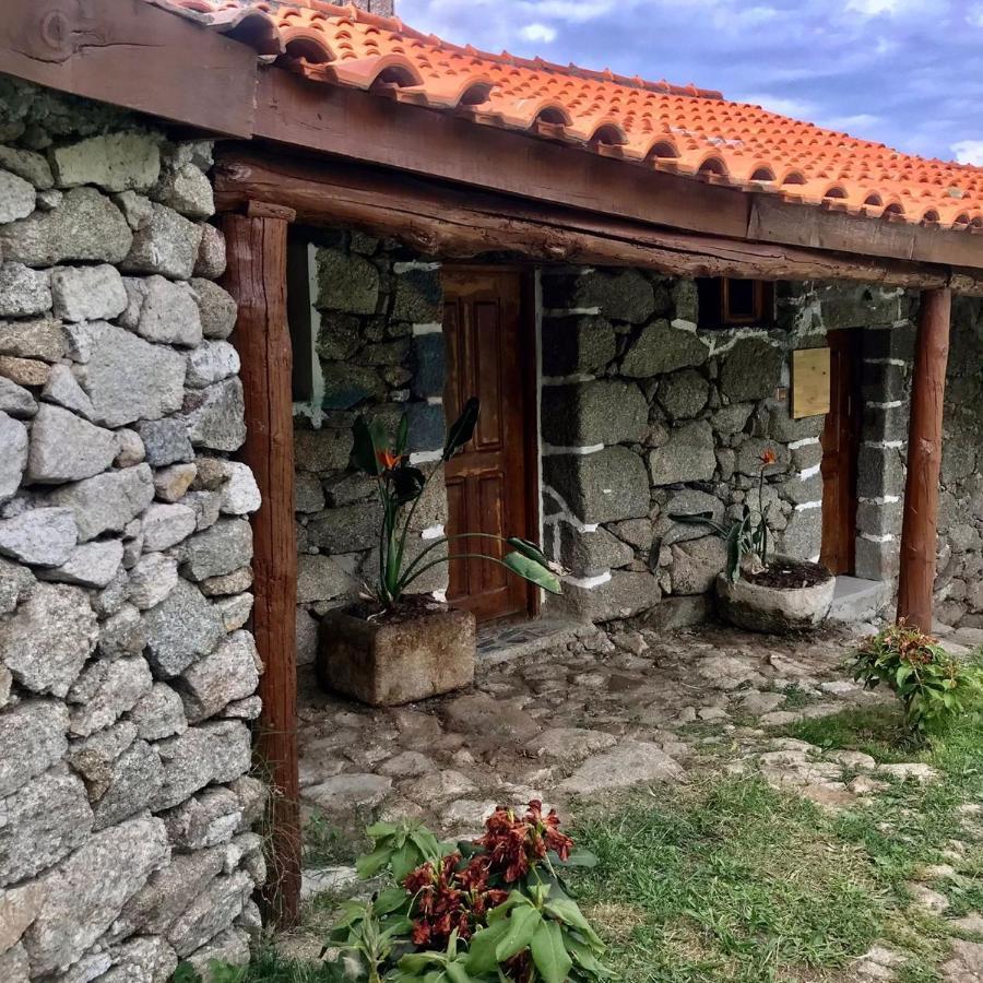 Quinta Dos Carvalhos The Wine House Farm In Center Of Lamego - Capital Of The Douro Villa Exteriör bild