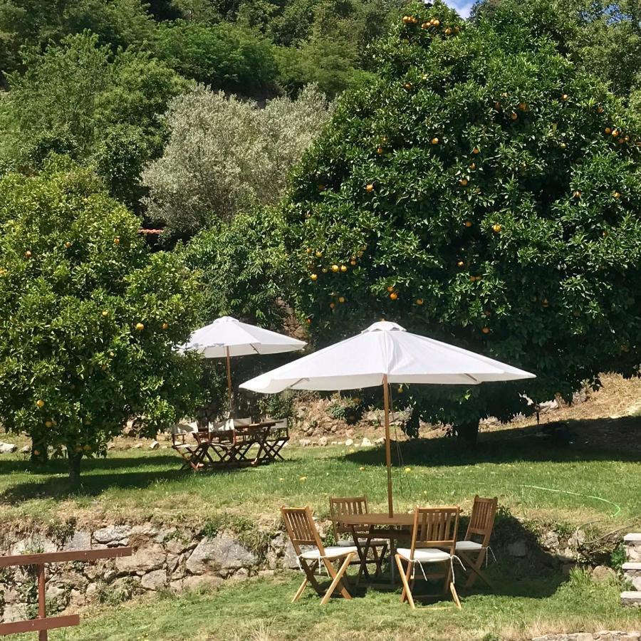 Quinta Dos Carvalhos The Wine House Farm In Center Of Lamego - Capital Of The Douro Villa Exteriör bild