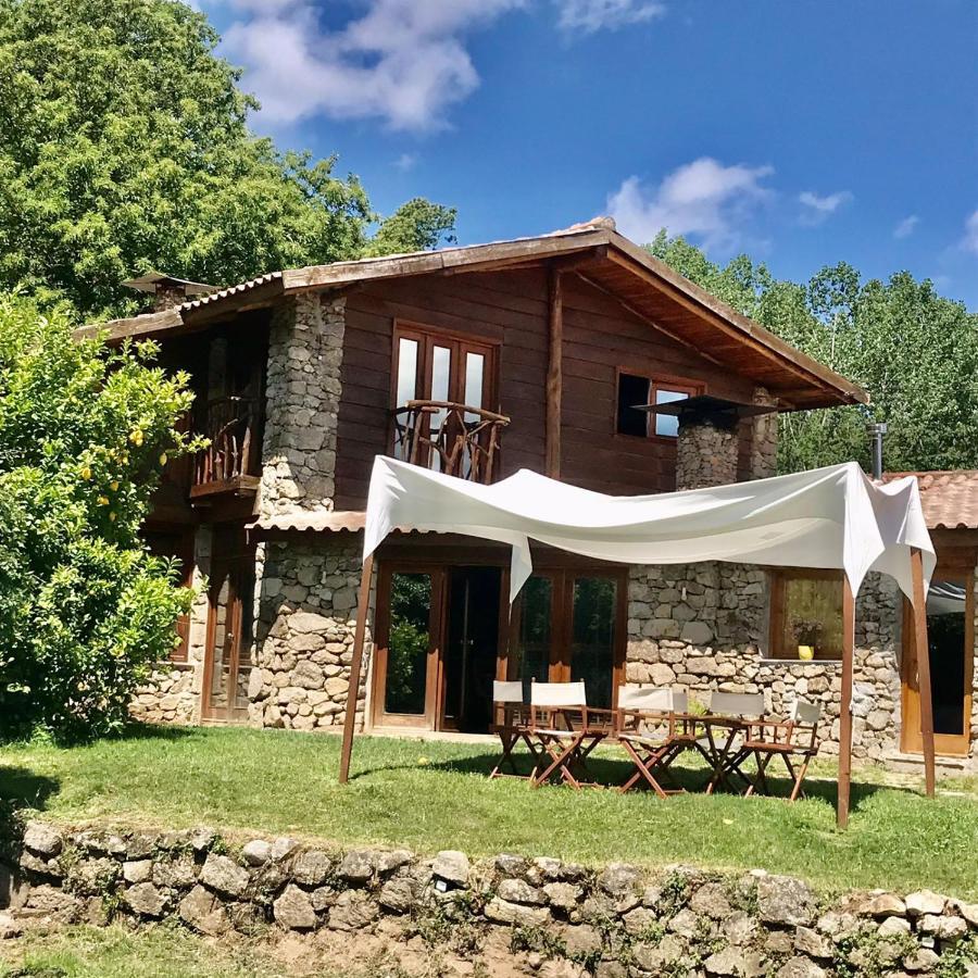 Quinta Dos Carvalhos The Wine House Farm In Center Of Lamego - Capital Of The Douro Villa Exteriör bild