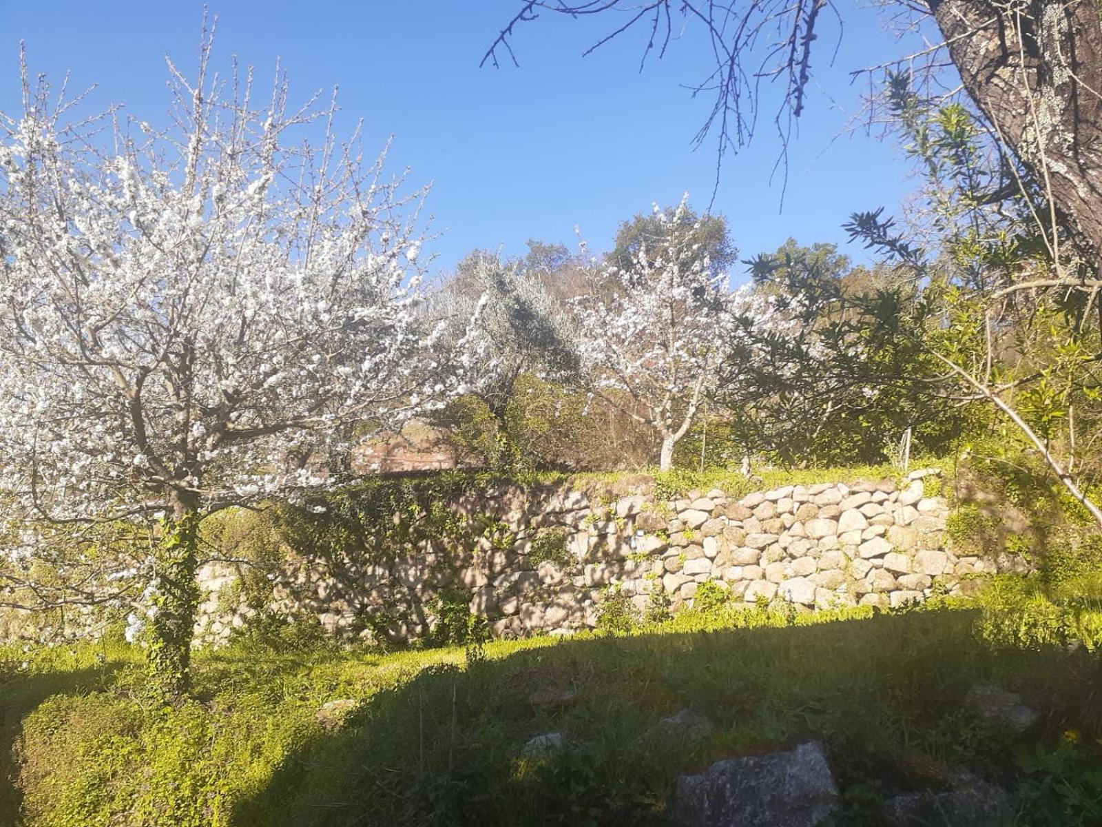 Quinta Dos Carvalhos The Wine House Farm In Center Of Lamego - Capital Of The Douro Villa Exteriör bild